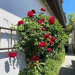Πανσιόν Birnbom Warnemuende