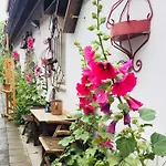 Birnbom Warnemuende