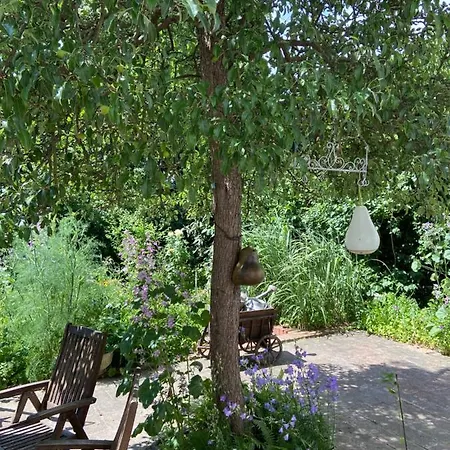 Birnbom Warnemuende Rostock