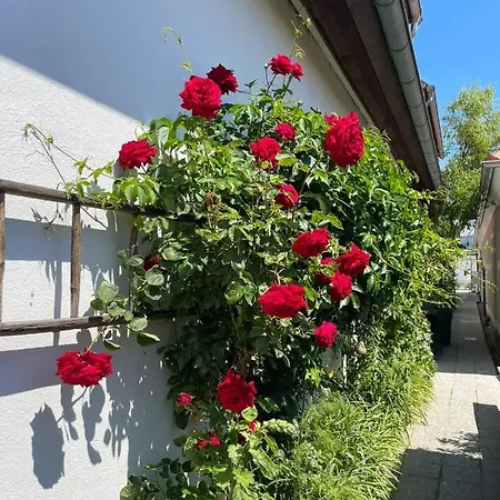 Гостевой дом Birnbom Warnemuende