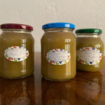 Birnbom Warnemuende 3*