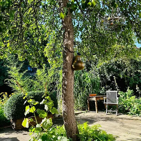 Birnbom Warnemuende Росток