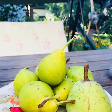 Гостевой дом Birnbom Warnemuende 3*