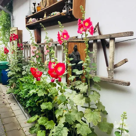 Birnbom Warnemuende Rostock