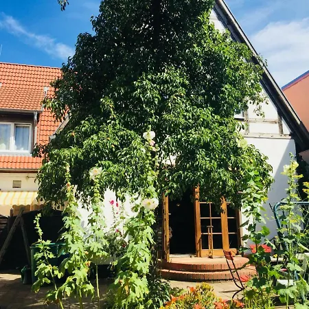 Birnbom Warnemuende Casa de hóspedes