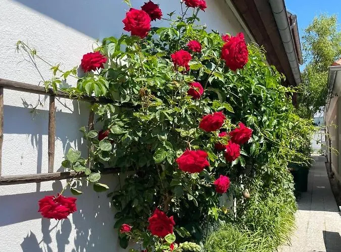 ゲストハウス Birnbom Warnemuende