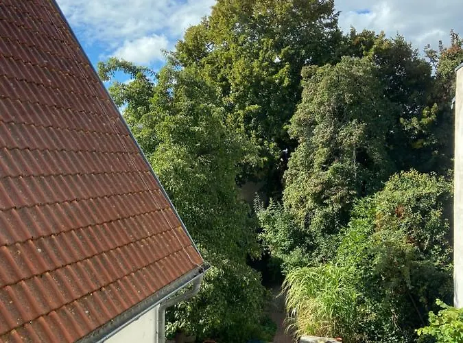 Birnbom Warnemuende ロストック