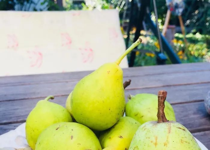 ゲストハウス Birnbom Warnemuende 3*