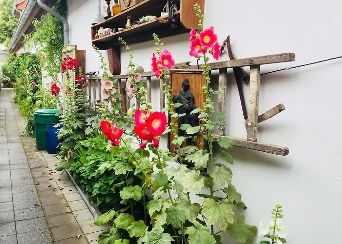 Birnbom Warnemuende ロストック